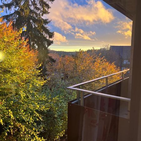 Moderne Und Zentral Gelegene Ferienwohnung In Braunlage Mit Rodelpiste Und Start Ski Langlauf In 300 Metern Entfernung Экстерьер фото