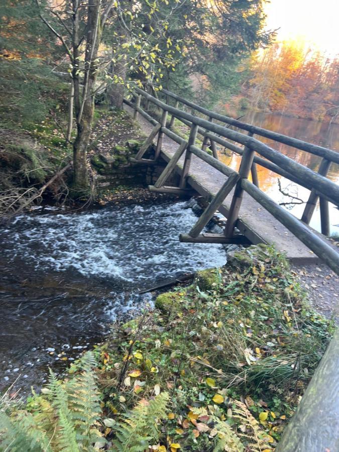 Moderne Und Zentral Gelegene Ferienwohnung In Braunlage Mit Rodelpiste Und Start Ski Langlauf In 300 Metern Entfernung Экстерьер фото