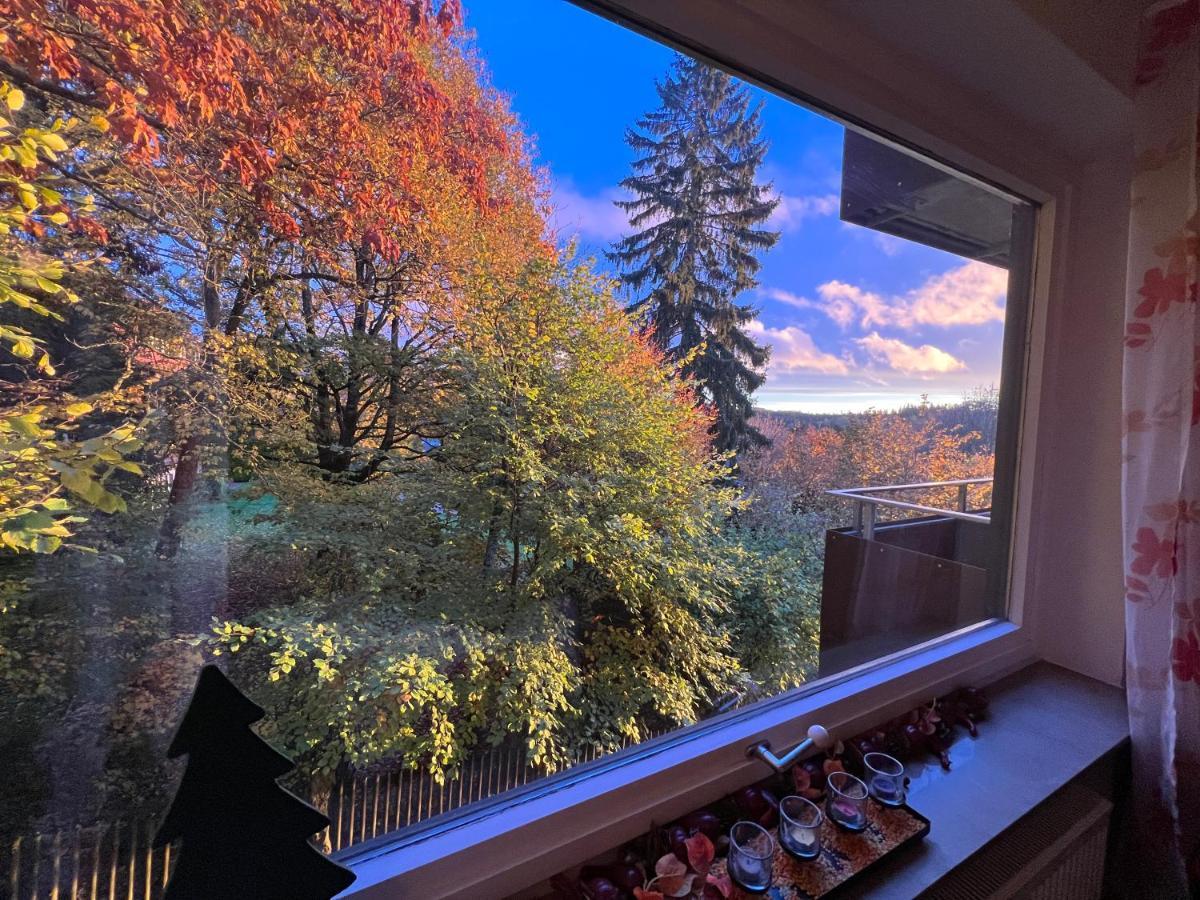 Moderne Und Zentral Gelegene Ferienwohnung In Braunlage Mit Rodelpiste Und Start Ski Langlauf In 300 Metern Entfernung Экстерьер фото