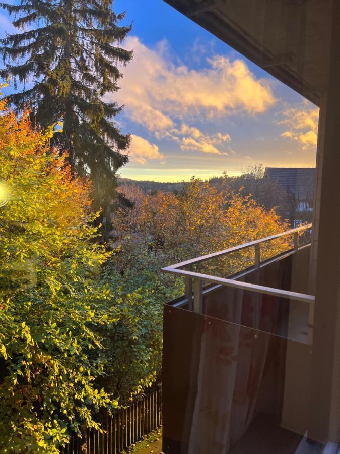 Moderne Und Zentral Gelegene Ferienwohnung In Braunlage Mit Rodelpiste Und Start Ski Langlauf In 300 Metern Entfernung Экстерьер фото